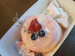 -狐狸和向日葵(北京路店)