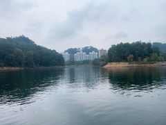 -千岛湖城中湖游船码头