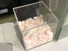 -狐狸和向日葵(北京路店)