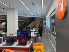 -小米之家汽车(永旺梦乐城店)