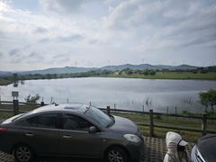 -御道口草原森林风景区