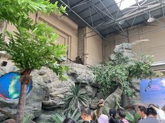 -国家自然博物馆