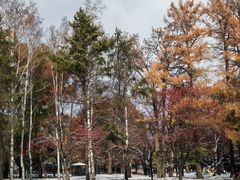 -北海道神宫