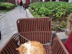 -思南书局(复兴中路店)