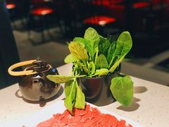 菠菜-京韵胡同·酱香羊蝎子火锅涮肉(长寿路店)