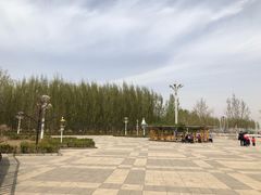 -白洋淀景区