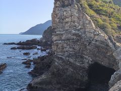 -杨梅坑