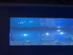 -重庆欢乐海底世界