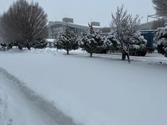 -霍尔果斯国门景区