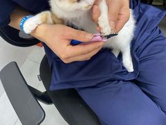 -宠颐生嘉德动物医院
