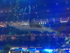 -成都浩海立方海洋公园