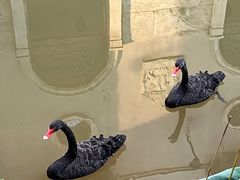 -华谊兄弟（长沙）电影小镇