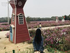 -日照灯塔风景区