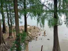 -海珠湖公园