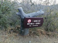 -香山公园
