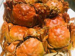 -双子楼大酒店(城开国际写字楼店)