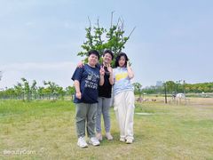 -春花秋色城市公园