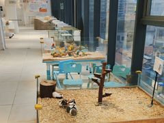 -怪兽屋·羊驼·猫咖·狗咖(俊华广场店)