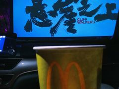 -枫花园汽车电影院(朝阳公园店)