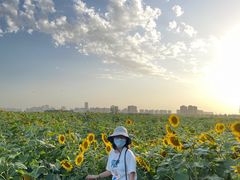 -汉长安城未央宫国家考古遗址公园