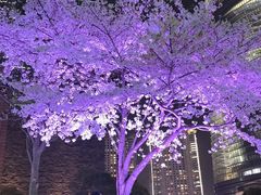 -傣妹火锅(四川北路店)