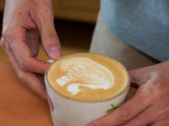 -本無咖啡·BeanWood Coffee