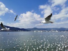 -海埂大坝