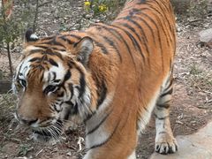 -昆明动物园