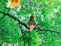 -黔灵山公园