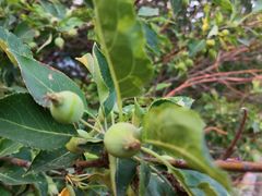 -北运河水利风景区