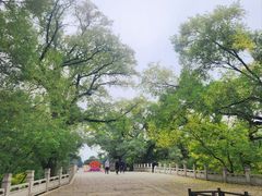 -北陵公园