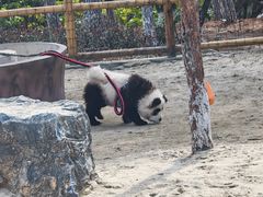 -茅山东方盐湖城景区