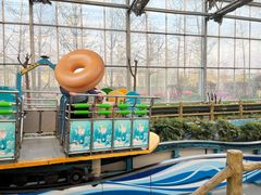 -南宫五洲植物乐园