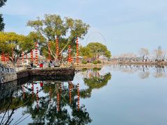 -无锡蠡湖国家湿地公园-蠡园