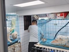 -中央商场维修(东明路店)