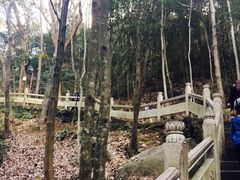 -普陀山风景区-佛顶山