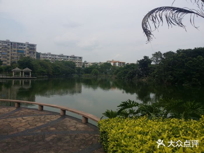 黃埔區中山公園-圖片-廣州景點/周邊遊-大眾點評網