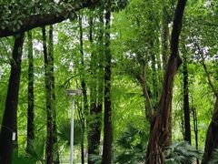 -荔湾湖公园