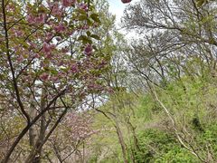 -南京市江宁方山
