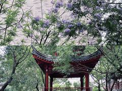 -龙潭水乡