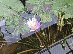 -国家植物园南园