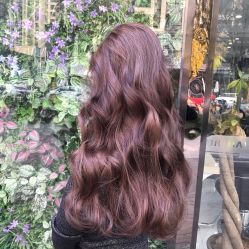 -DL HAIR SALON