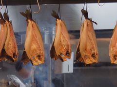 -IKKI1788居酒屋