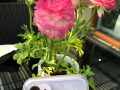 -荷风细雨·中国茶宴(碧云店)