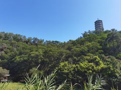 -深圳国际园林花卉博览园