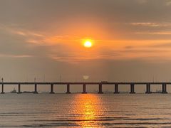 -宝安西湾红树林湿地公园