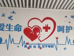 -守诺宠物医院·眼科· 特色牙科·异宠专科(虹口店)