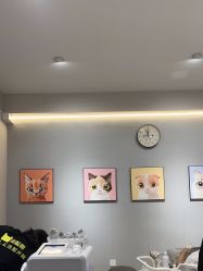 -洗脸猫·洗脸吧