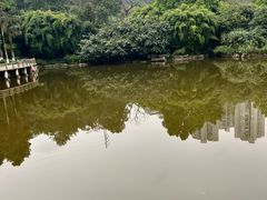 -龙头寺公园