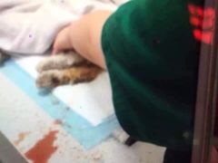 盛京一禾-盛京一禾